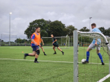 Tweede training van dit seizoen van lagere seniorenteams (49/71)